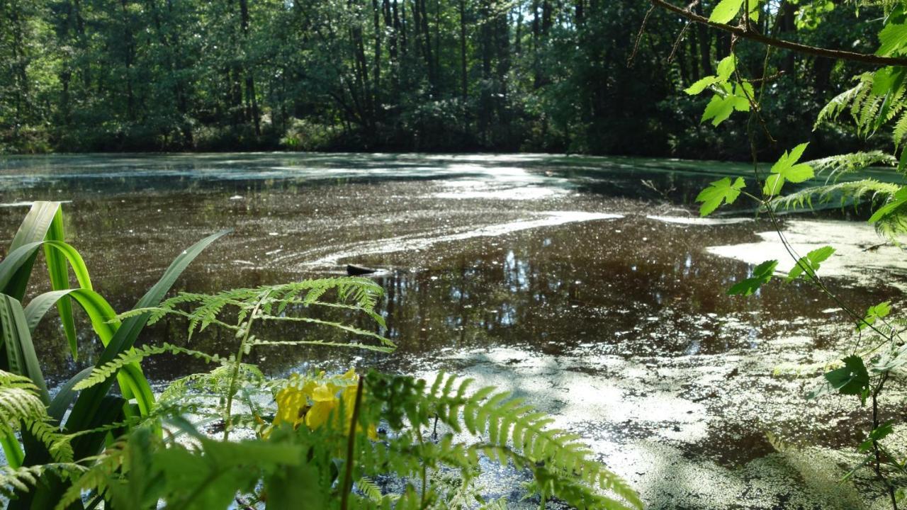 Отель Wassermuehle Eldingen Экстерьер фото