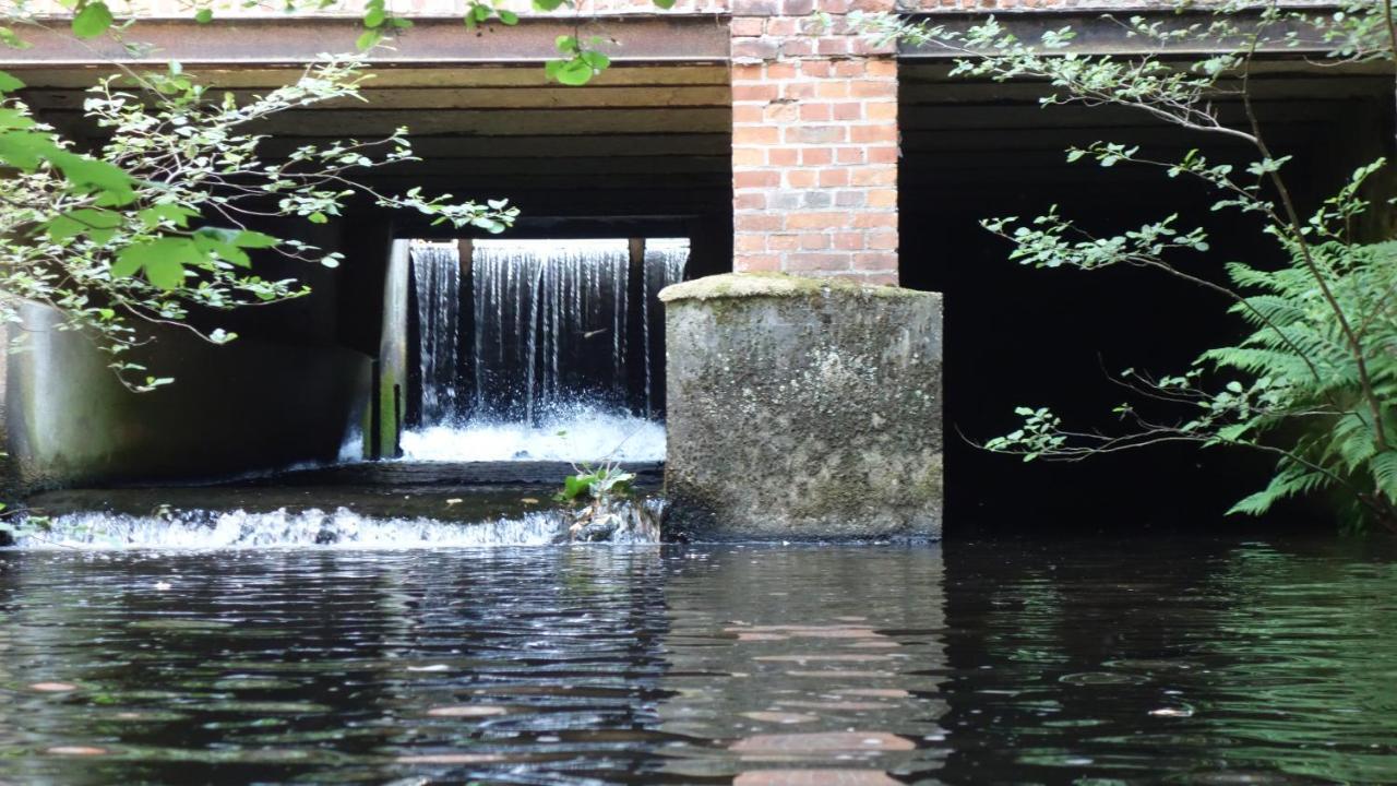 Отель Wassermuehle Eldingen Экстерьер фото